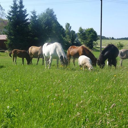 Landgasthof Zum Schwanen Hornberg Exteriör bild
