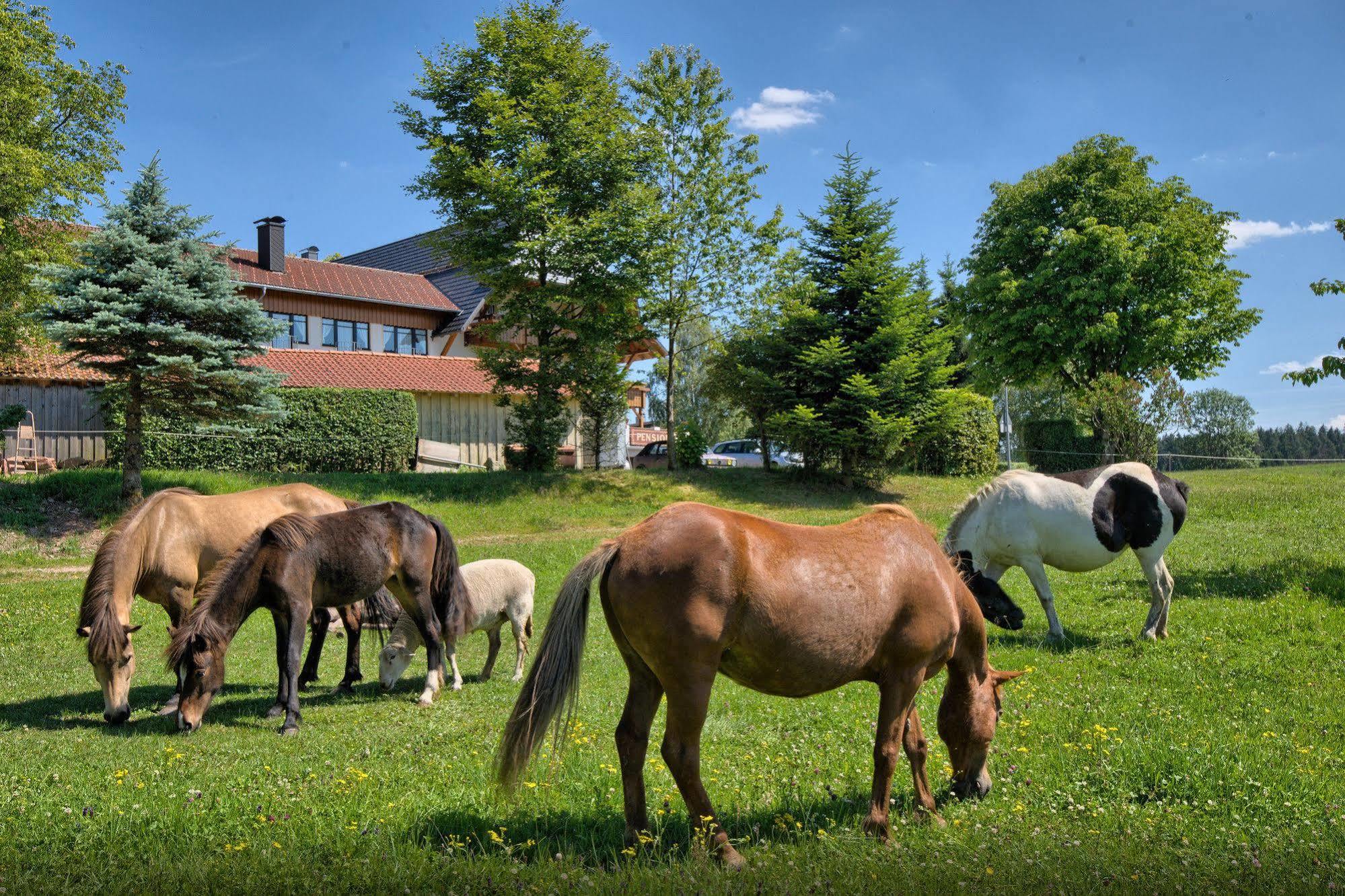 Landgasthof Zum Schwanen Hornberg Exteriör bild